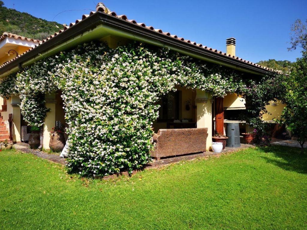 Villa Emilietta วิลลัสซีมีอุส ภายนอก รูปภาพ